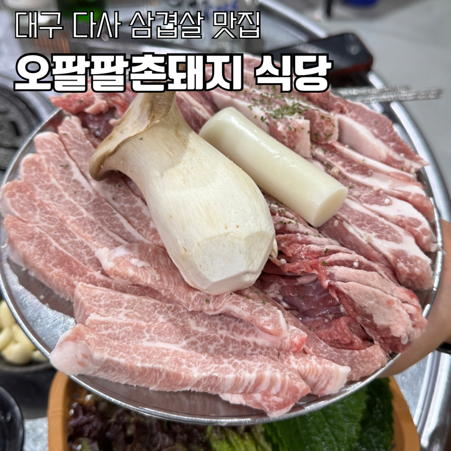 오팔팔촌돼지식당 사진 1