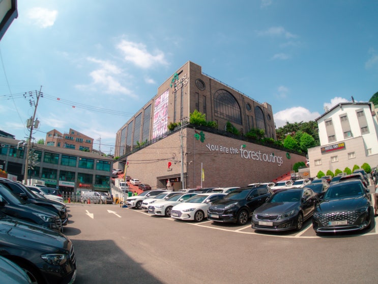  송도 포레스트 아웃팅스 플랜테리어 컨셉의 예쁜 대형카페