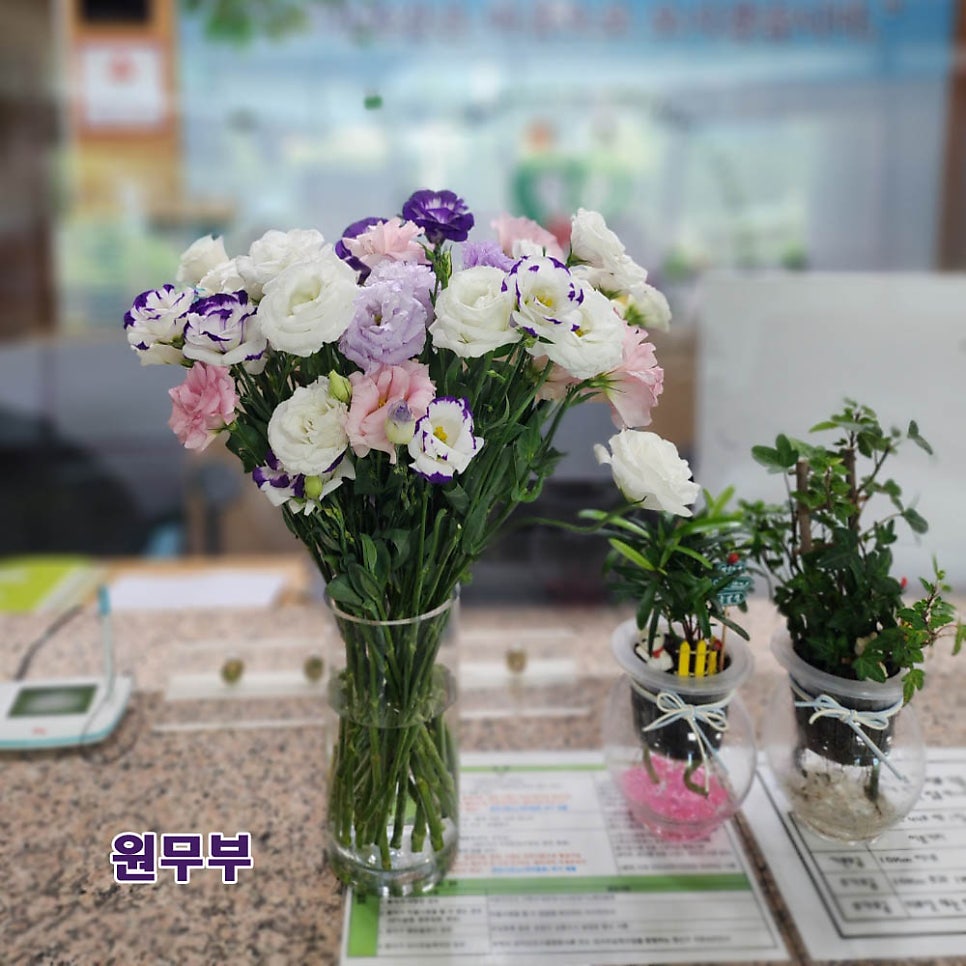 금산효사랑요양병원 사진 1