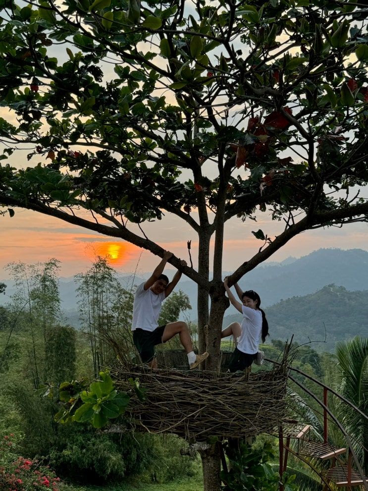  [필리핀 세부] 자유여행 마지막 날 5일차 ️ 시티투어 산토니뇨성당 마젤란의십자가 시라오가든 레아신전 수그보야시장