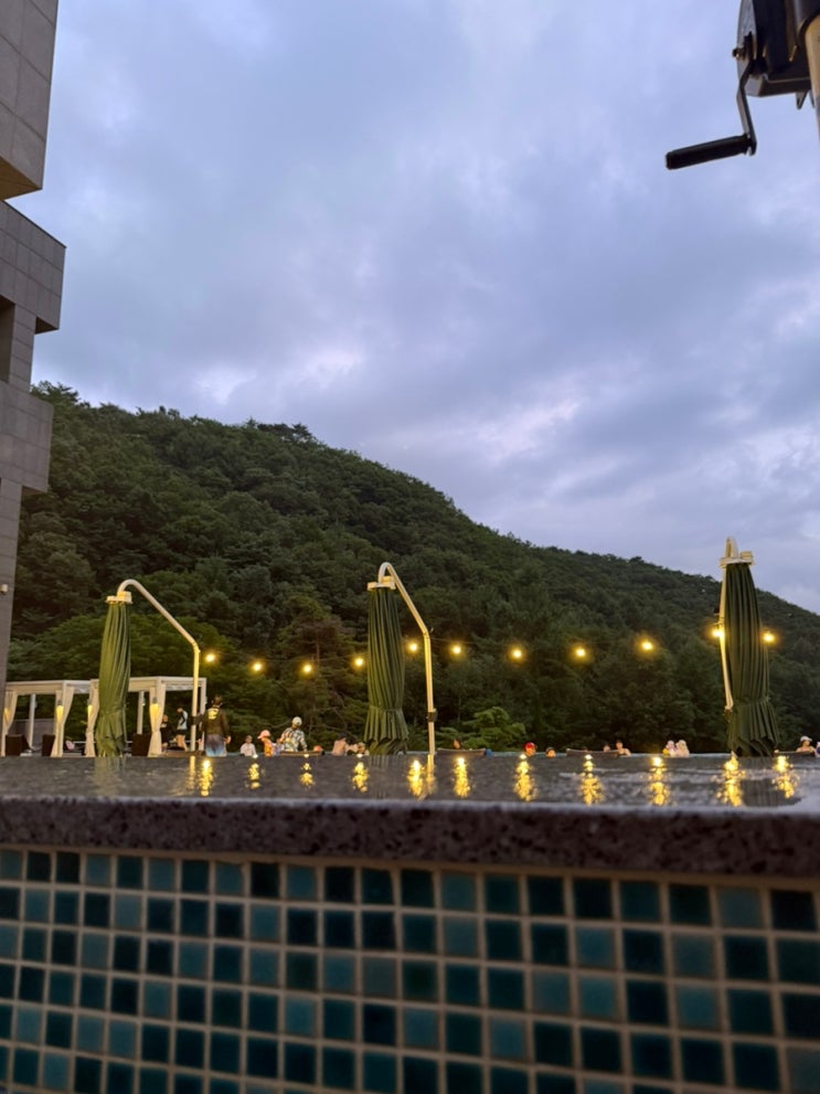   연예인·1인 법인 등 ‘법인세 절세’ 어려워집니다!