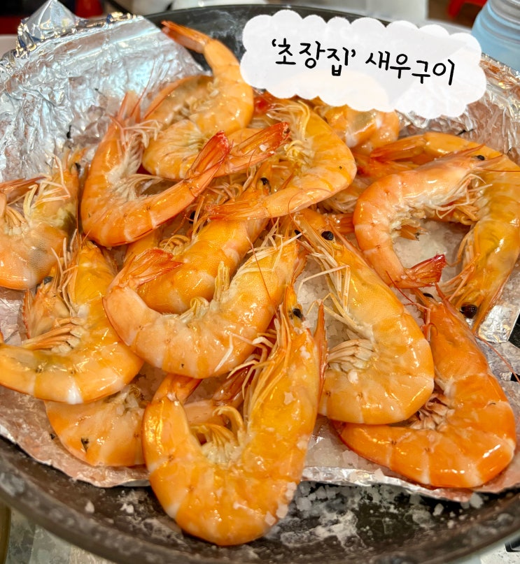  원주 생새우 소금구이 맛집 초장집 – 포차 감성 가득한 단구동 맛집 회포차!
