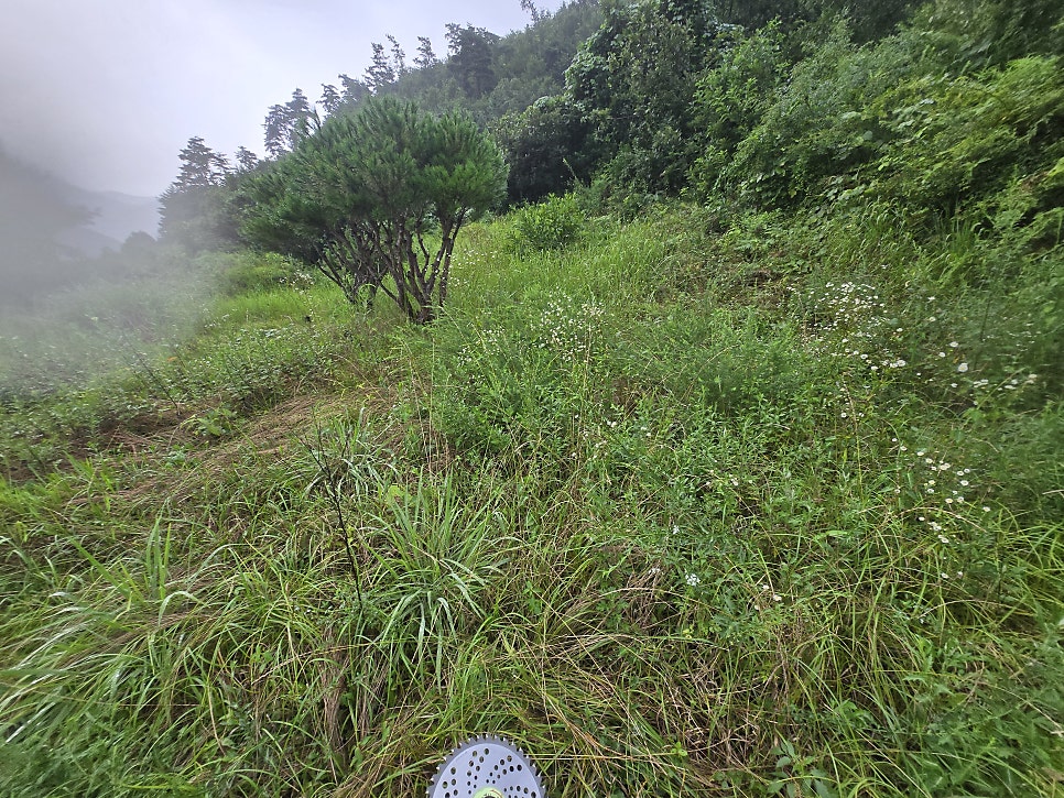 버드산 사진 3