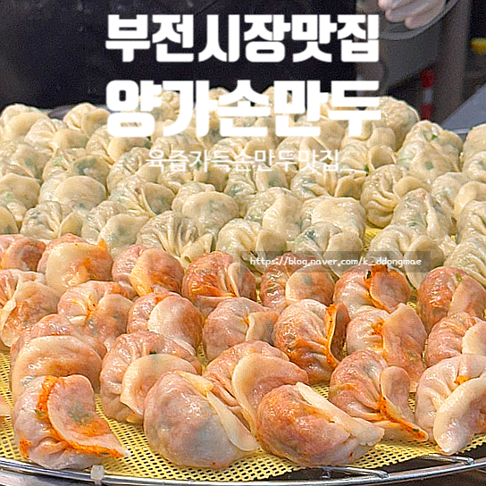  부전시장 맛집 양가손만두 부전 육즙가득 손만두 내돈내산 포장후기