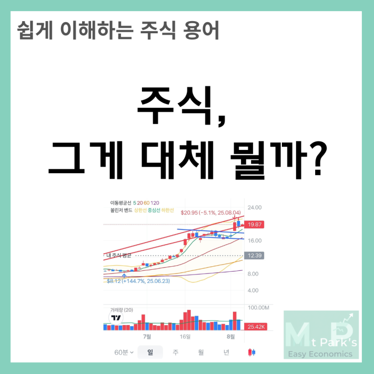  주식, 그게 대체 뭘까? 쉽게 알아보는 주식의 개념과 역할