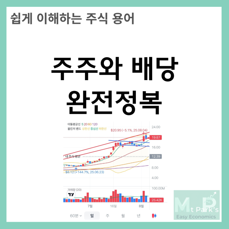  주주와 배당 완전정복 - 주식 보유로 얻는 주주 권리와 수익의 모든 것