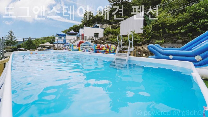 사진 5