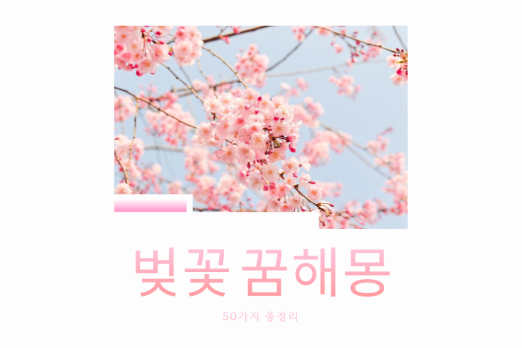  벚꽃 꿈해몽