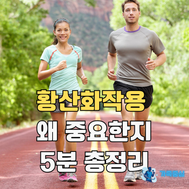  항산화작용 뜻, 5분만에 개념 총정리 (필요한 이유, 음식, 영양제)