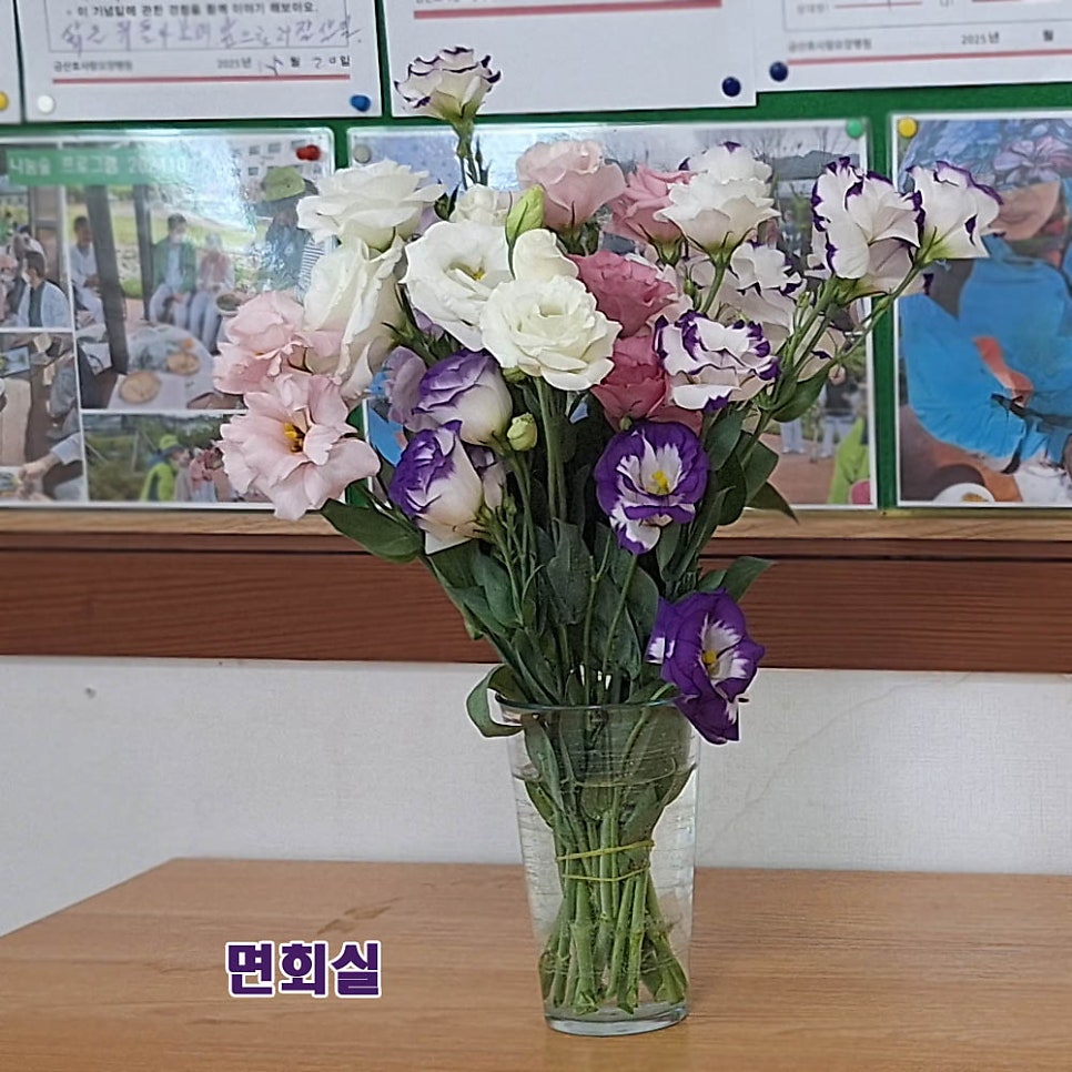 금산효사랑요양병원 사진 2