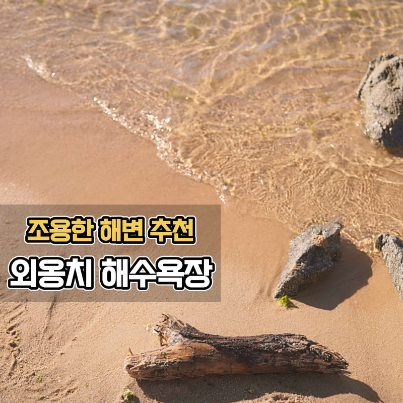 사진 3