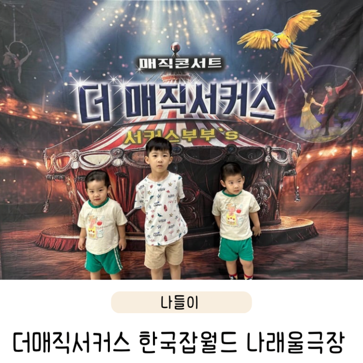  2025 더 매직서커스 성남 마술쇼 (한국잡월드 주차 좌석시야 팁)