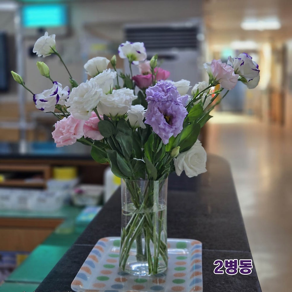 금산효사랑요양병원 사진 4