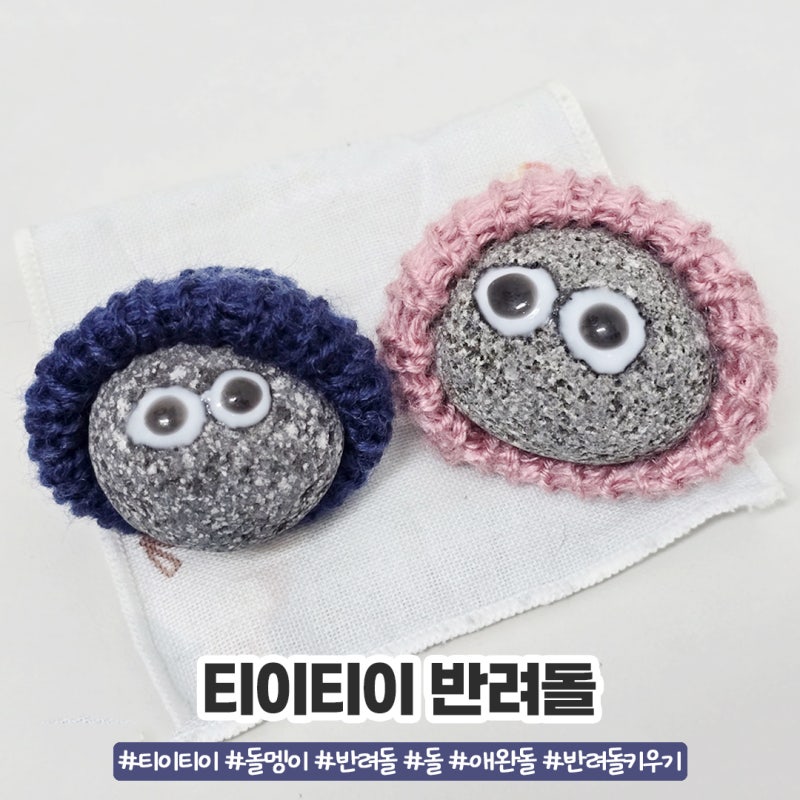 사진 5