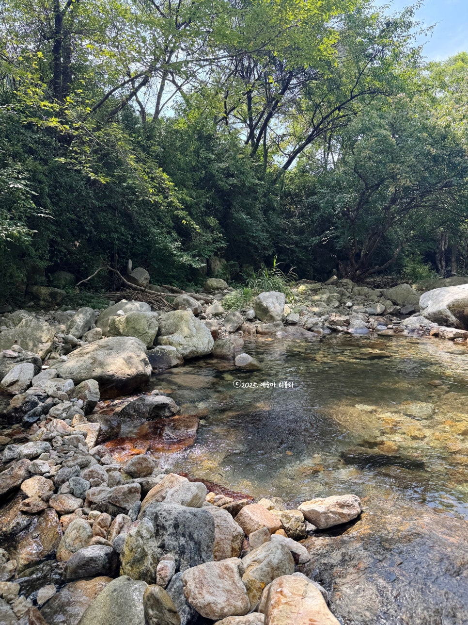 민우네집 사진 3