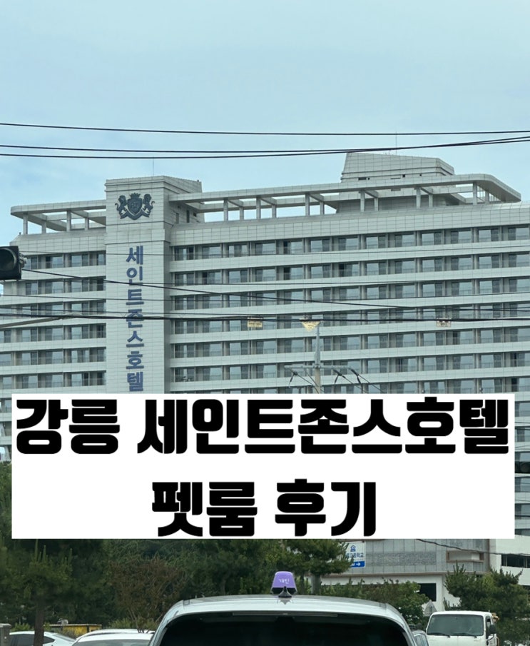  애견동반 호텔 중 최애 세인트존스 2주 연속 방문기