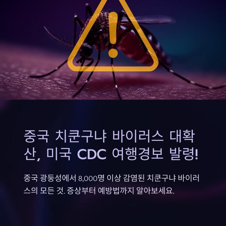  치쿤구냐 바이러스 중국 대확산…미국 CDC 여행경보까지 발령