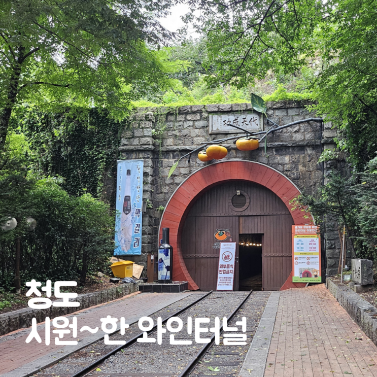  청도 와인터널 입장료 주차장 대구 근교 여름 데이트코스