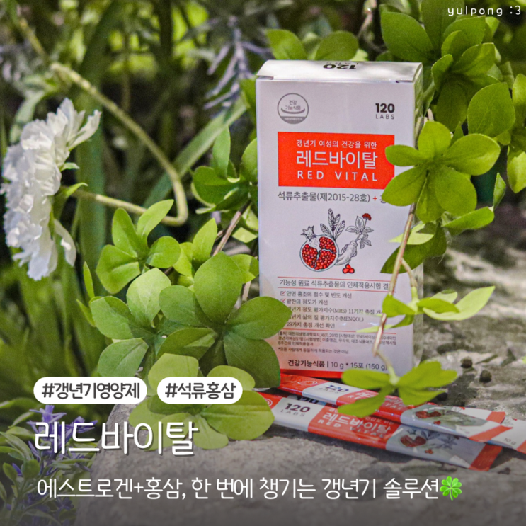  중년의 건강, 갱년기영양제 레드바이탈로 관리 시작