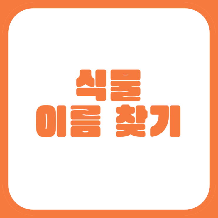  식물 이름 찾기 앱 이용 방법