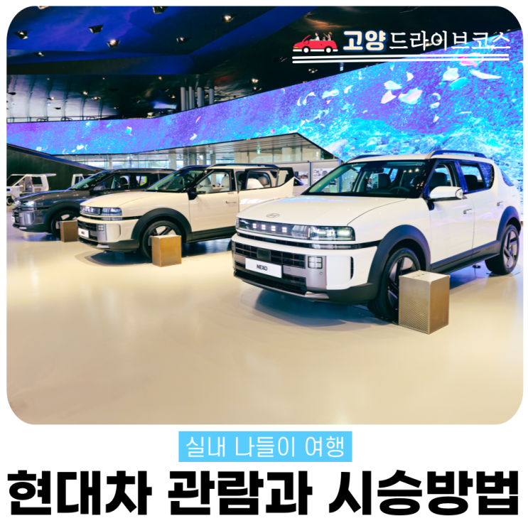  현대모터스튜디오 고양 시승 신청 방법과 전시장 주차 꿀팁