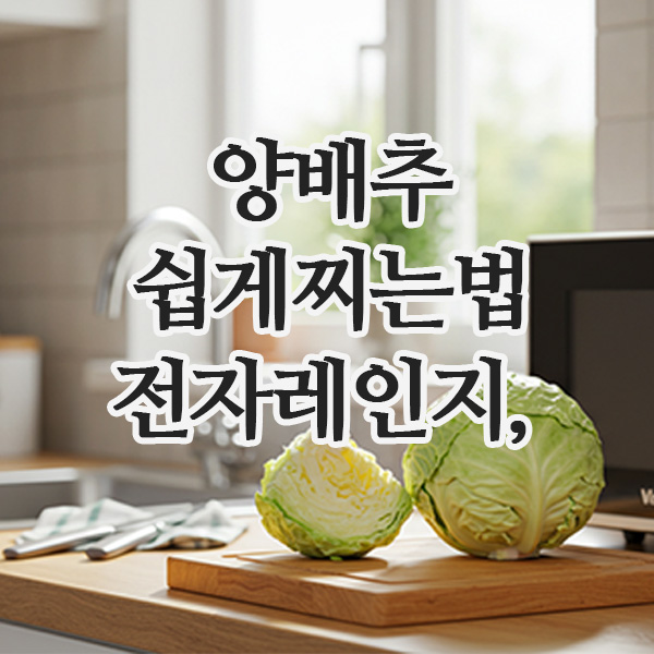  양배추쉽게찌는법｜전자레인지로 간단하게 + 양배추 효능까지 한눈에!