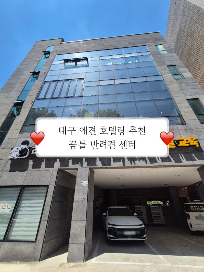사진 2