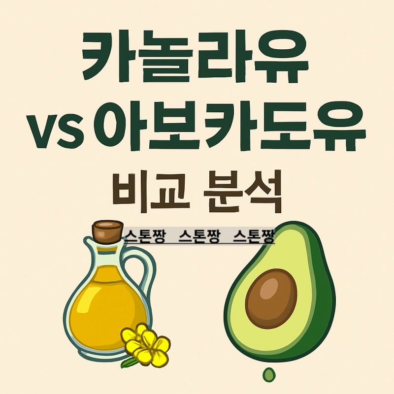 비싸도 아보카도유? 가성비의 끝 카놀라유? 직접 비교해 봤어요! feat 초슨푸드, 노브랜드