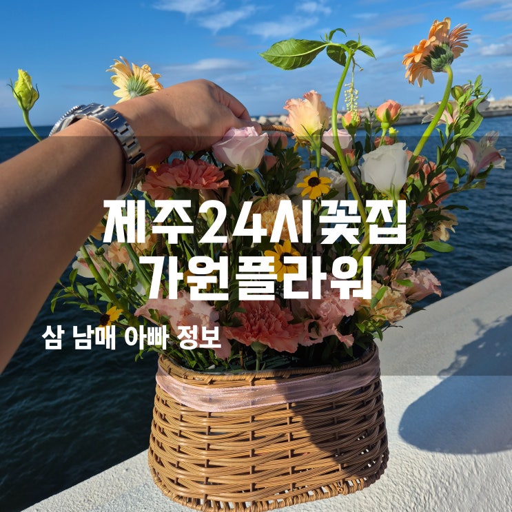  제주 공항 근처 꽃집 기념일 생일 꽃바구니 꽃배달 추천 24시 가원플라워