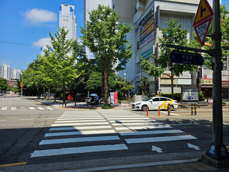 부산 탈모병원 성지 탈모약 처방 비교