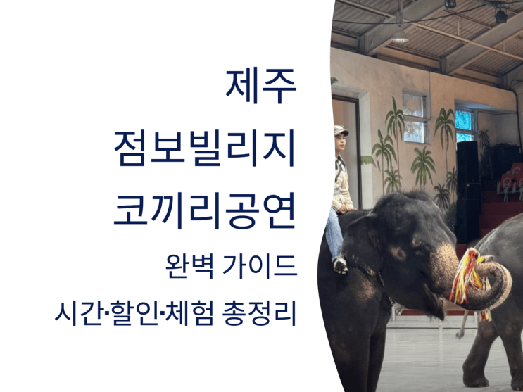  제주 점보빌리지 코끼리 공연 완벽 가이드: 시간·할인·체험 총정리