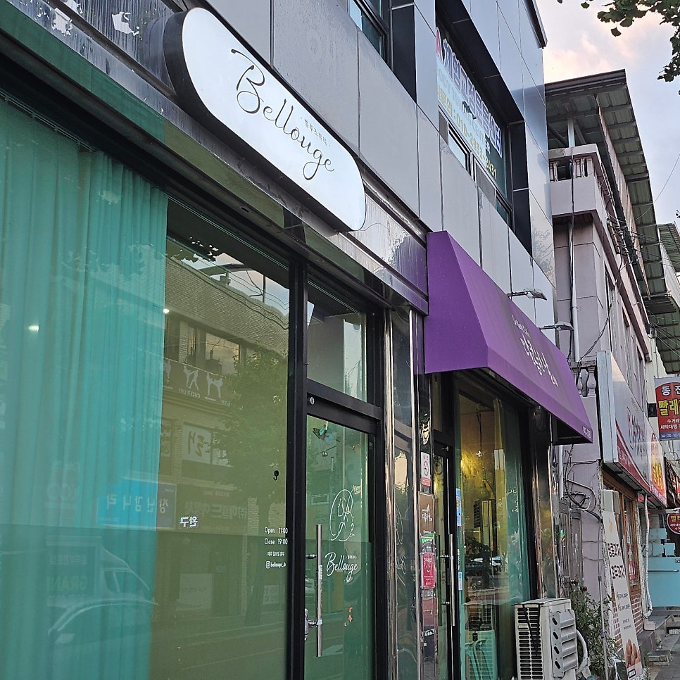 벨루즈 사진 1