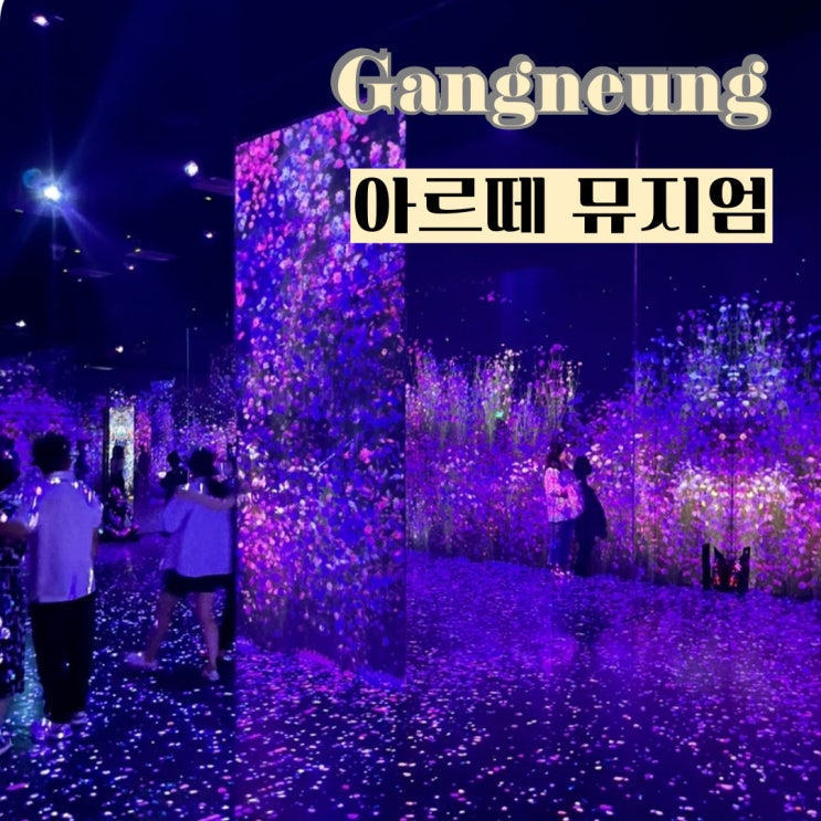  강릉 실내 가볼 만한 곳 아르떼 뮤지엄 패키지 할인 방법