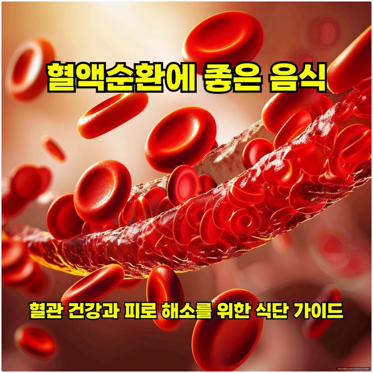  혈액순환에 좋은 음식 – 혈관 건강과 피로 해소를 위한 식단 가이드