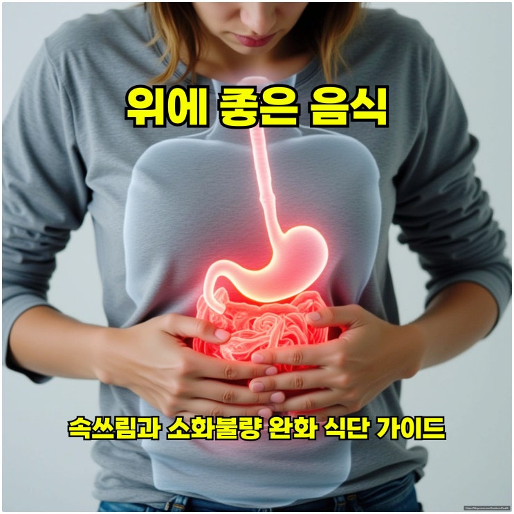  위에 좋은 음식 – 속쓰림과 소화불량 완화 식단 가이드