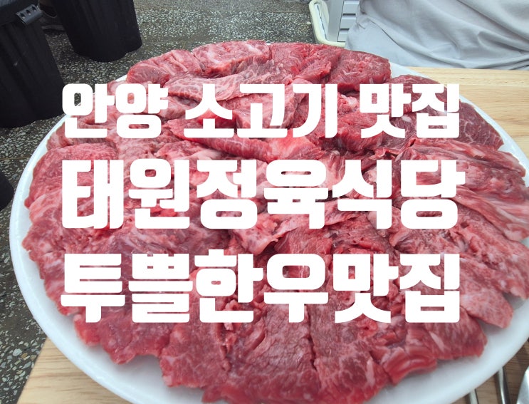  11년 연속 블루리본 선정! 안양 갓성비 소고기 맛집 태원 정육식당 레드리본까지!