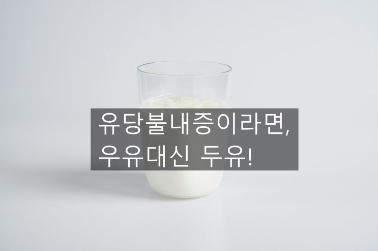  두유. 유당불내증인데 우유 대신 먹어도 괜찮을까? 효능까지 과학적으로