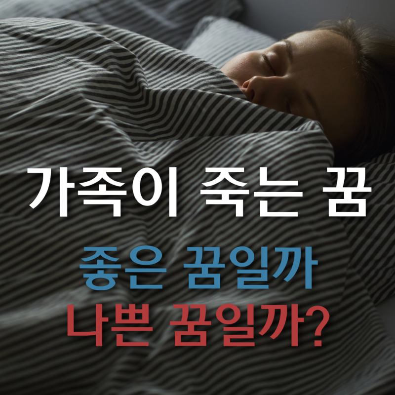 가족이 죽는 꿈 해몽 총정리｜심리학적으로 살펴보는 꿈의 진짜 의미