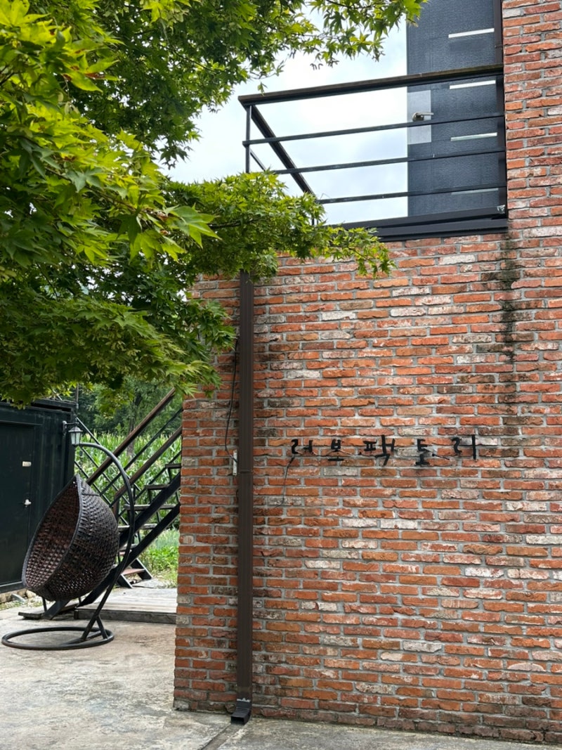 사진 6