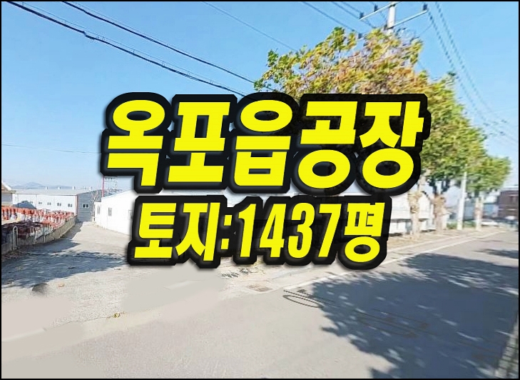  대구 공장 창고 매매 옥포읍 강림리 공장경매