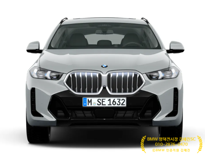 2025 BMW X6, 오너평가 추천 준대형 SUV 모델비교 인기 모델, 판매량 BMW 인기 모델, BMW 파이낸셜 ....