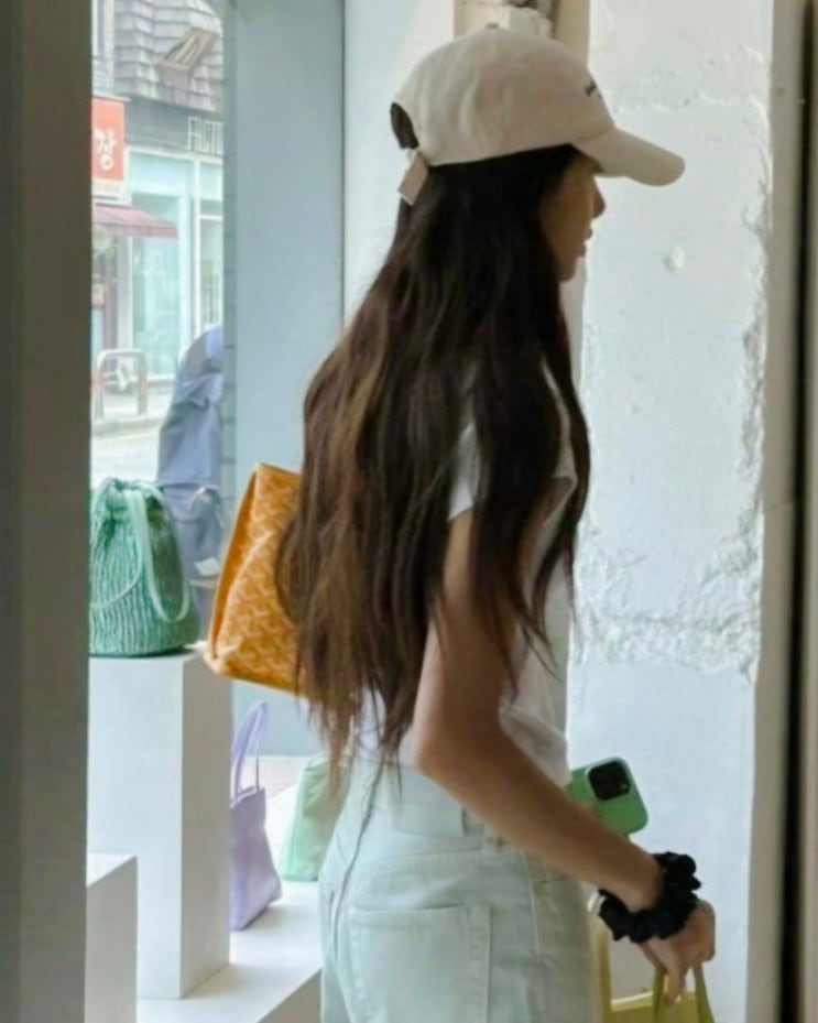  고야드 미니앙주 연예인 가방 엄지원· 리사·선예 착용샷 모음.zip
