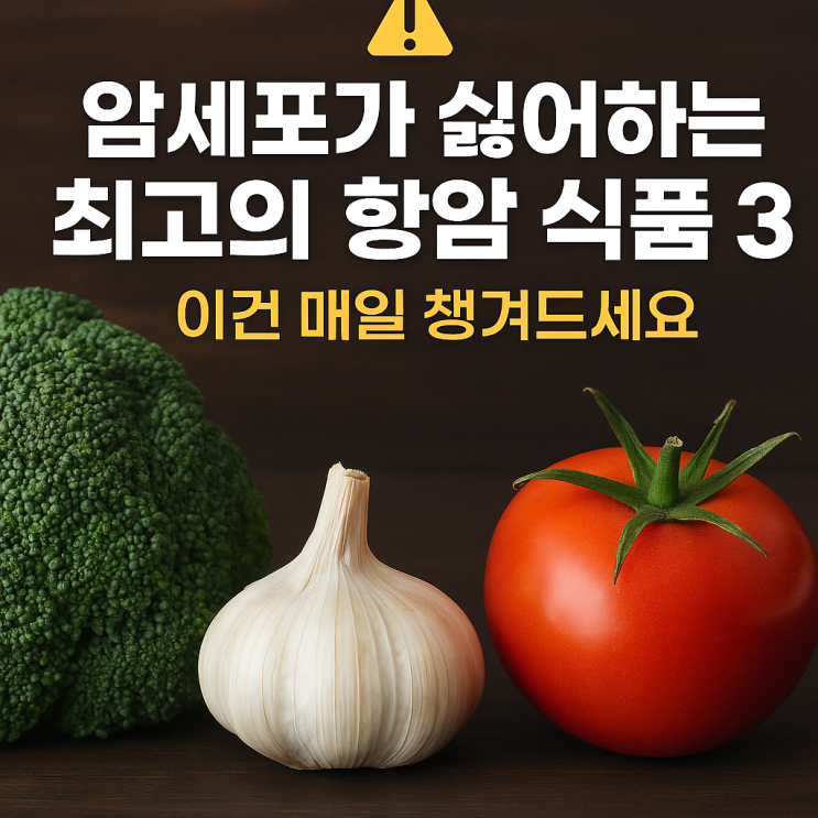 암세포가 싫어하는 항암 식품 3가지 매일 건강식