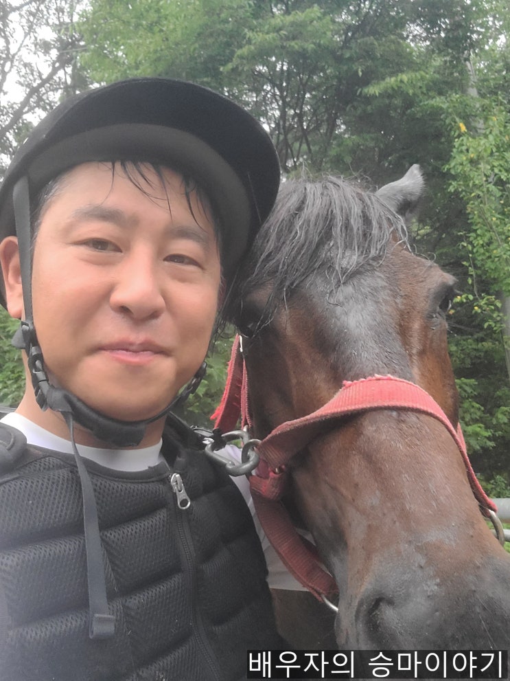  안산 승마 해피홀스클럽 추천 유소년 승마 레슨 어린이 승마체험 안산 해피 승마장
