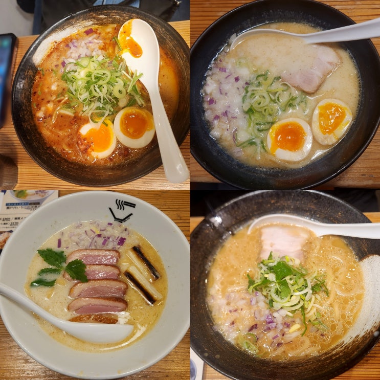  나고야 돈코츠라멘 맛집 멘야신메이 사카에역 웨이팅, 규스지, 스카이루 맛집