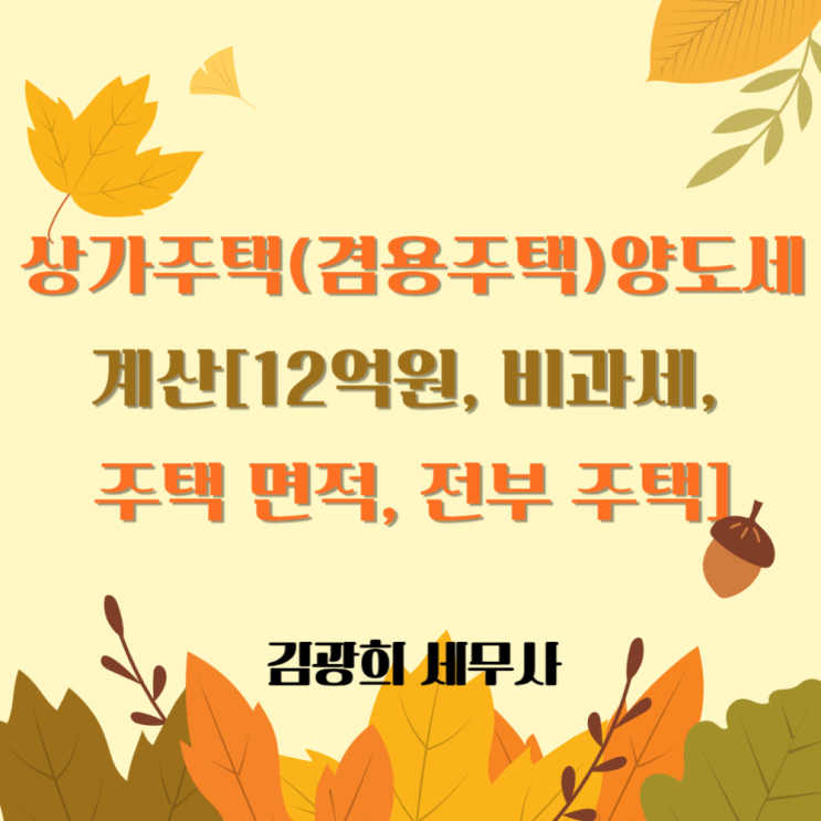  상가주택(겸용주택) 양도세 계산[12억원, 비과세, 주택 면적, 전부 주택]