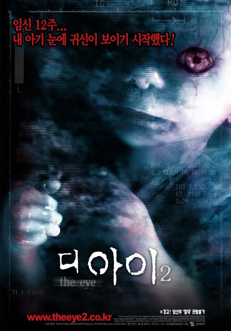  영화 디 아이 2 (見鬼 2: The Eye 2 2004)