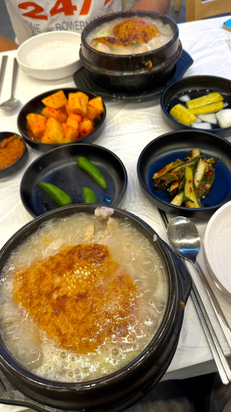 [청주 맛집] 로로삼계탕 초복 중복 말복