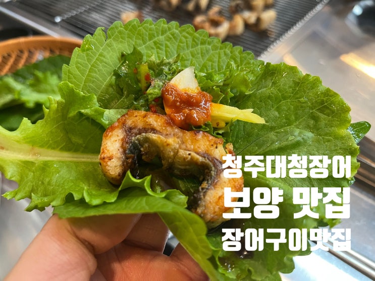  [청주 서원구 미평동 맛집] 힘찬 기운 솟는 보양식맛집 대청장어, 일품진로 와 찰떡궁합
