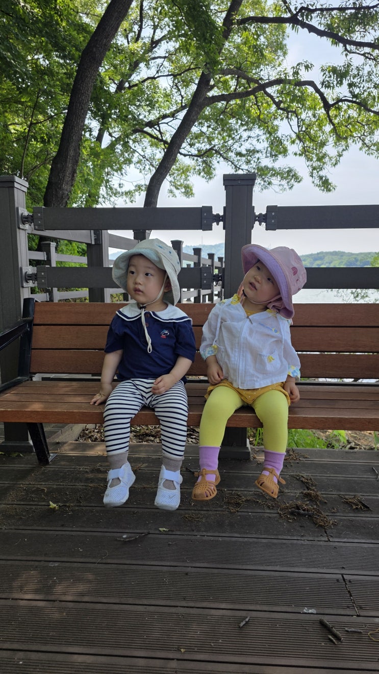  파주 공릉저수지 둘레길, 쌍둥이 아빠의 내돈내산 힐링 후기 (feat. 주차 꿀팁)